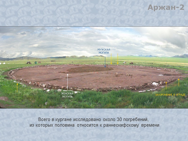 МУЖСКАЯ  МОГИЛА ЗАХОРОНЕНИЕ В ОГРАДЕ ЖЕНСКАЯ  МОГИЛА Аржан-2 Всего в кургане исследовано